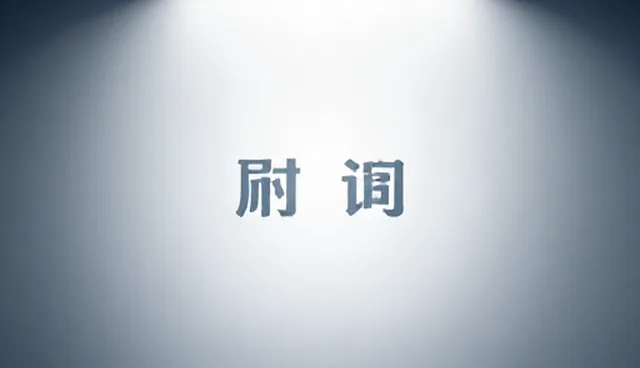 应用开发选型策略：定制开发与平台化开发的对比分析